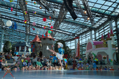 A7305128-Playmobil