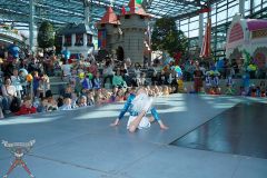 A7305129-Playmobil
