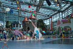 A7305138-Playmobil