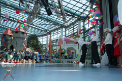 A7305168-Playmobil