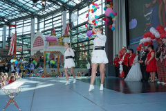 A7305176-Playmobil