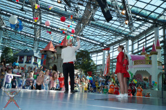 A7305223-Playmobil