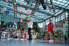 A7305224-Playmobil