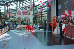 A7305230-Playmobil