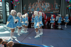A7305238-Playmobil