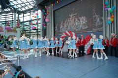 A7305239-Playmobil