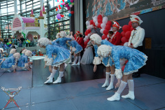 A7305243-Playmobil