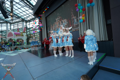 A7305245-Playmobil