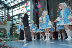 A7305256-Playmobil