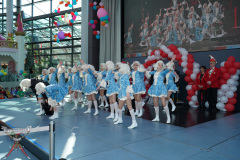 A7305259-Playmobil