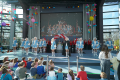 A7305262-Playmobil