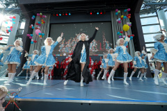 A7305264-Playmobil