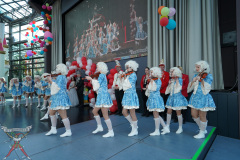 A7305283-Playmobil