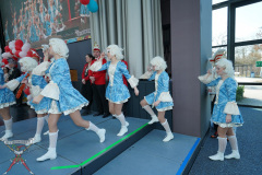 A7305285-Playmobil