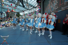 A7305287-Playmobil