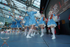 A7305288-Playmobil
