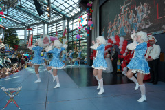 A7305290-Playmobil