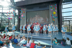 A7305301-Playmobil
