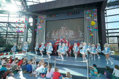 A7305303-Playmobil