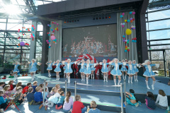 A7305304-Playmobil