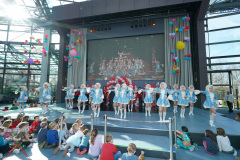 A7305305-Playmobil