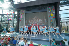 A7305314-Playmobil
