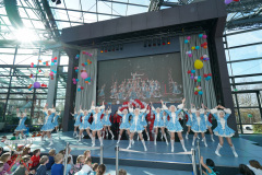 A7305316-Playmobil