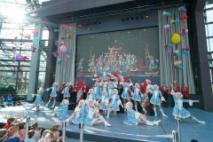 A7305324-Playmobil