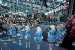 A7305332-Playmobil