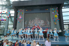 A7305336-Playmobil