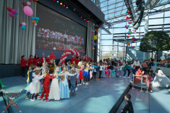 A7305344-Playmobil
