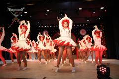 260116_Prunksitzung-2_-343_klein