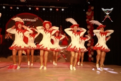 200117_Prunksitzung-2-195