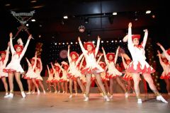 260117_Prunksitzung-3-261_klein