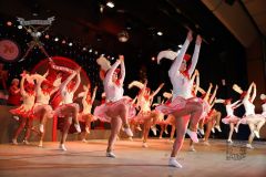 260117_Prunksitzung-3-291_klein