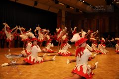 260111_Senioren-Tanznachmittag-33_klein_klein