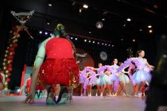 260116_Prunksitzung-2_-237_klein