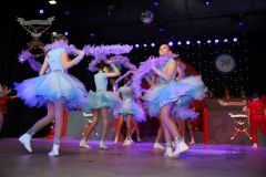 260117_Prunksitzung-3-190_klein