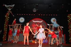 260117_Prunksitzung-3-200_klein