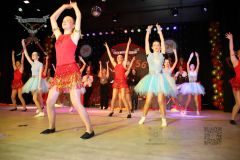 260117_Prunksitzung-3-218_klein