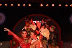 260117_Prunksitzung-3-500_klein