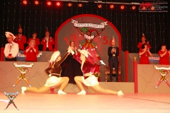 200111_Prunksitzung-1-167